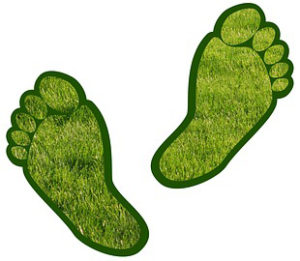turf toe